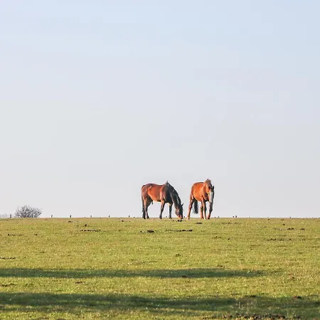 The Byre Holiday home