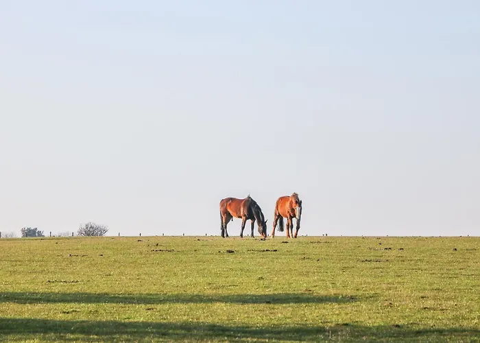 The Byre Semesterbostad
