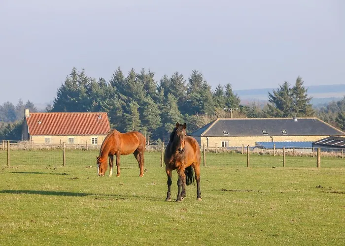 Semesterbostad The Byre *